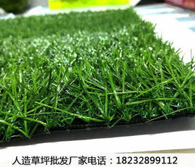 元謀人造草坪與綠植廠家選購指南及價格參考