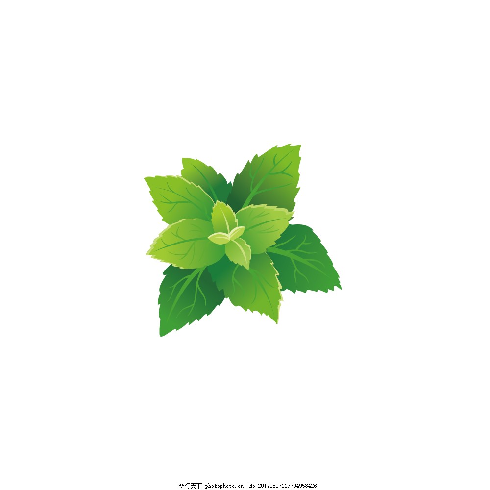 唯美手繪綠植 大自然的清新詩篇